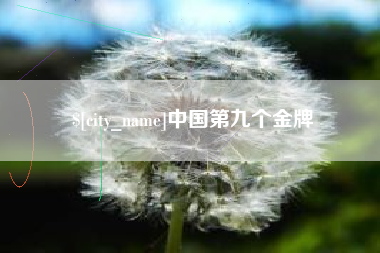 屯昌中国第九个金牌