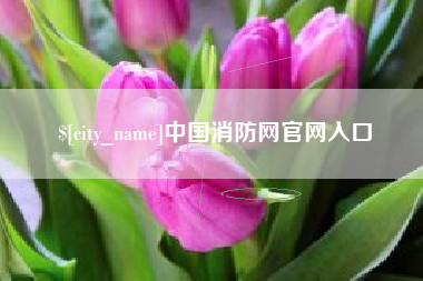 屯昌中国消防网官网入口