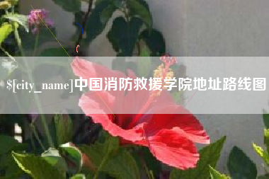 屯昌中国消防救援学院地址路线图