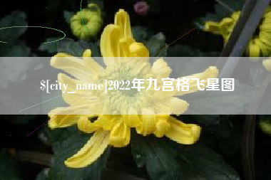 屯昌2022年九宫格飞星图