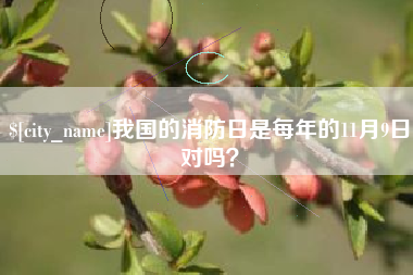 屯昌我国的消防日是每年的11月9日对吗？