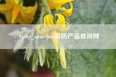 屯昌ccc消防产品查询网