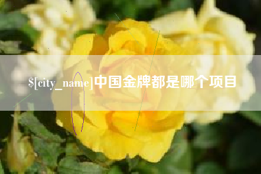 屯昌中国金牌都是哪个项目