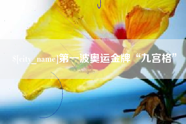 屯昌第一波奥运金牌“九宫格”