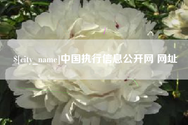 屯昌中国执行信息公开网 网址