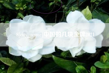 屯昌中国的几块金牌2021
