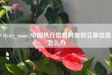 屯昌中国执行信息网查到立案信息怎么办