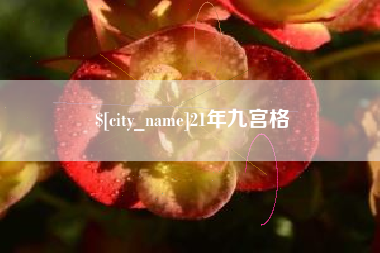 屯昌21年九宫格