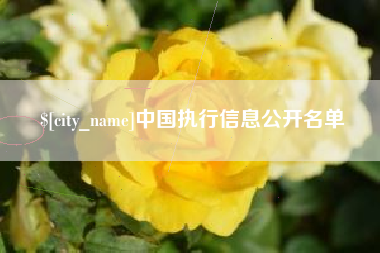 屯昌中国执行信息公开名单