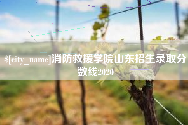 屯昌消防救援学院山东招生录取分数线2020