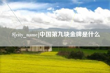 屯昌中国第九块金牌是什么
