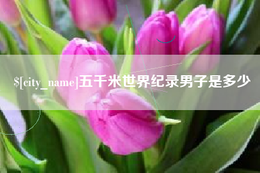 屯昌五千米世界纪录男子是多少