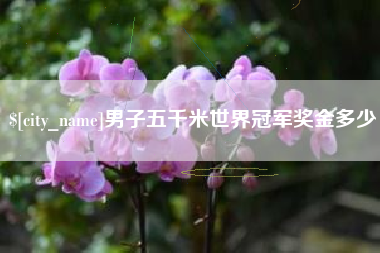 屯昌男子五千米世界冠军奖金多少