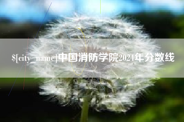屯昌中国消防学院2024年分数线