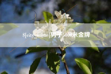屯昌男子5000米金牌