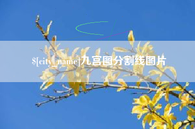屯昌九宫图分割线图片