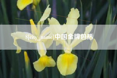 屯昌中国金牌包括