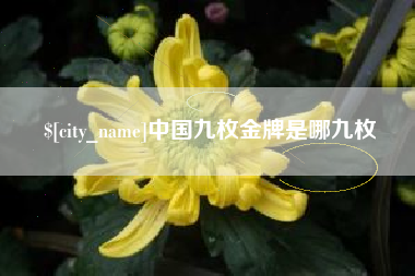 屯昌中国九枚金牌是哪九枚