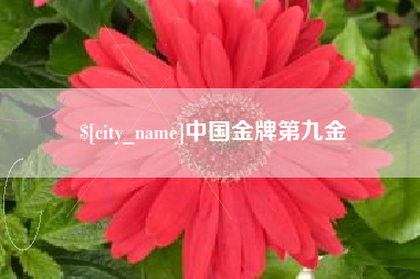屯昌中国金牌第九金