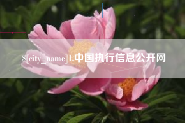 屯昌1.中国执行信息公开网