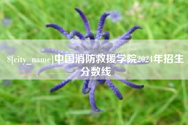 屯昌中国消防救援学院2024年招生分数线