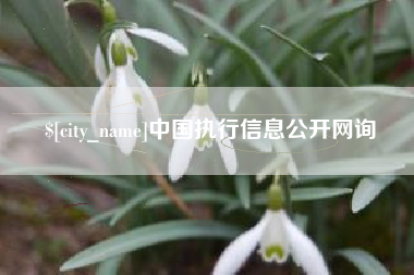 屯昌中国执行信息公开网询