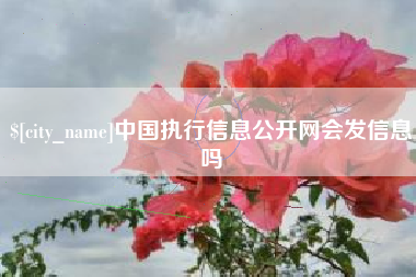 屯昌中国执行信息公开网会发信息吗