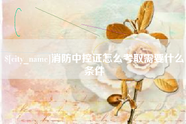 屯昌消防中控证怎么考取需要什么条件