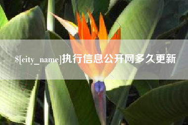 屯昌执行信息公开网多久更新