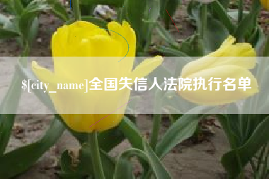 屯昌全国失信人法院执行名单