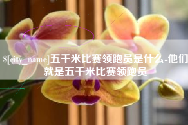 屯昌五千米比赛领跑员是什么-他们就是五千米比赛领跑员