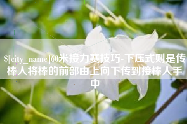 屯昌60米接力赛技巧-下压式则是传棒人将棒的前部由上向下传到接棒人手中