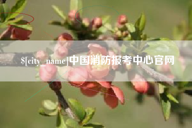 屯昌中国消防报考中心官网