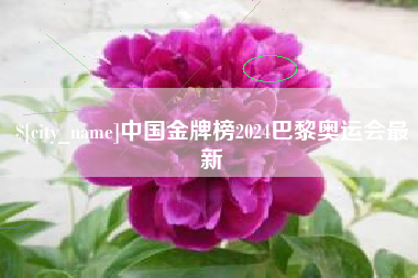 屯昌中国金牌榜2024巴黎奥运会最新