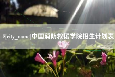 屯昌中国消防救援学院招生计划表