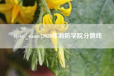 屯昌2020年消防学院分数线