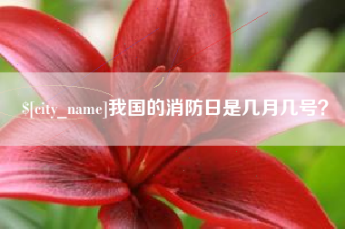 屯昌我国的消防日是几月几号？