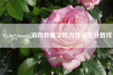 屯昌消防救援学院内部招生分数线
