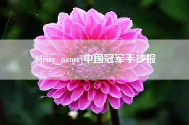 屯昌中国冠军手抄报
