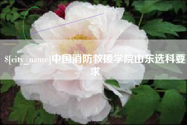 屯昌中国消防救援学院山东选科要求