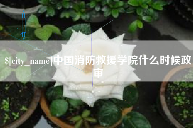 屯昌中国消防救援学院什么时候政审