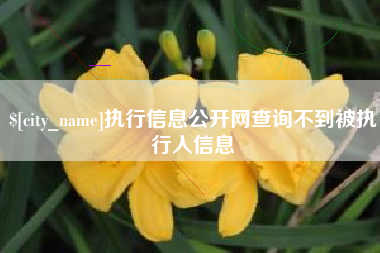 屯昌执行信息公开网查询不到被执行人信息