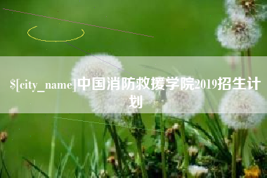 屯昌中国消防救援学院2019招生计划