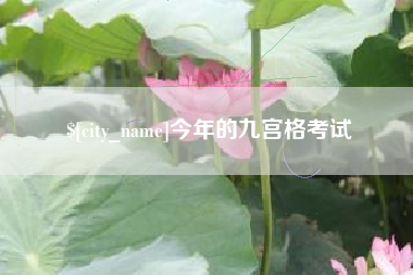 屯昌今年的九宫格考试