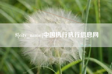 屯昌中国执行执行信息网