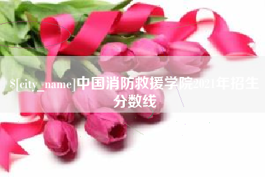 屯昌中国消防救援学院2021年招生分数线