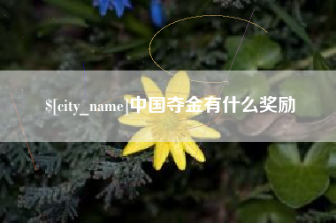 屯昌中国夺金有什么奖励