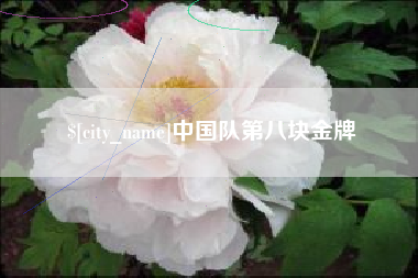 屯昌中国队第八块金牌