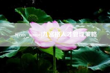 屯昌九宫格人才管理策略
