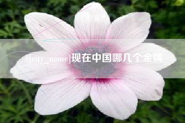 屯昌现在中国哪几个金牌